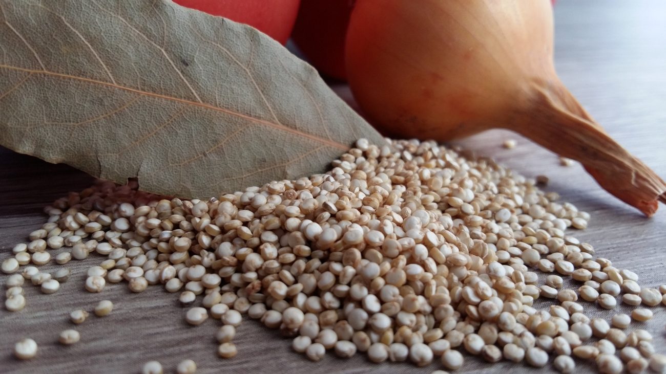 vegane eiweißquellen