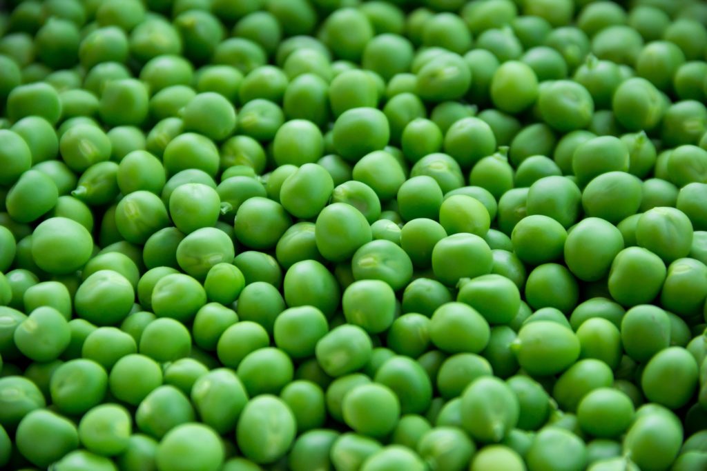vegane eiweißquellen top 10